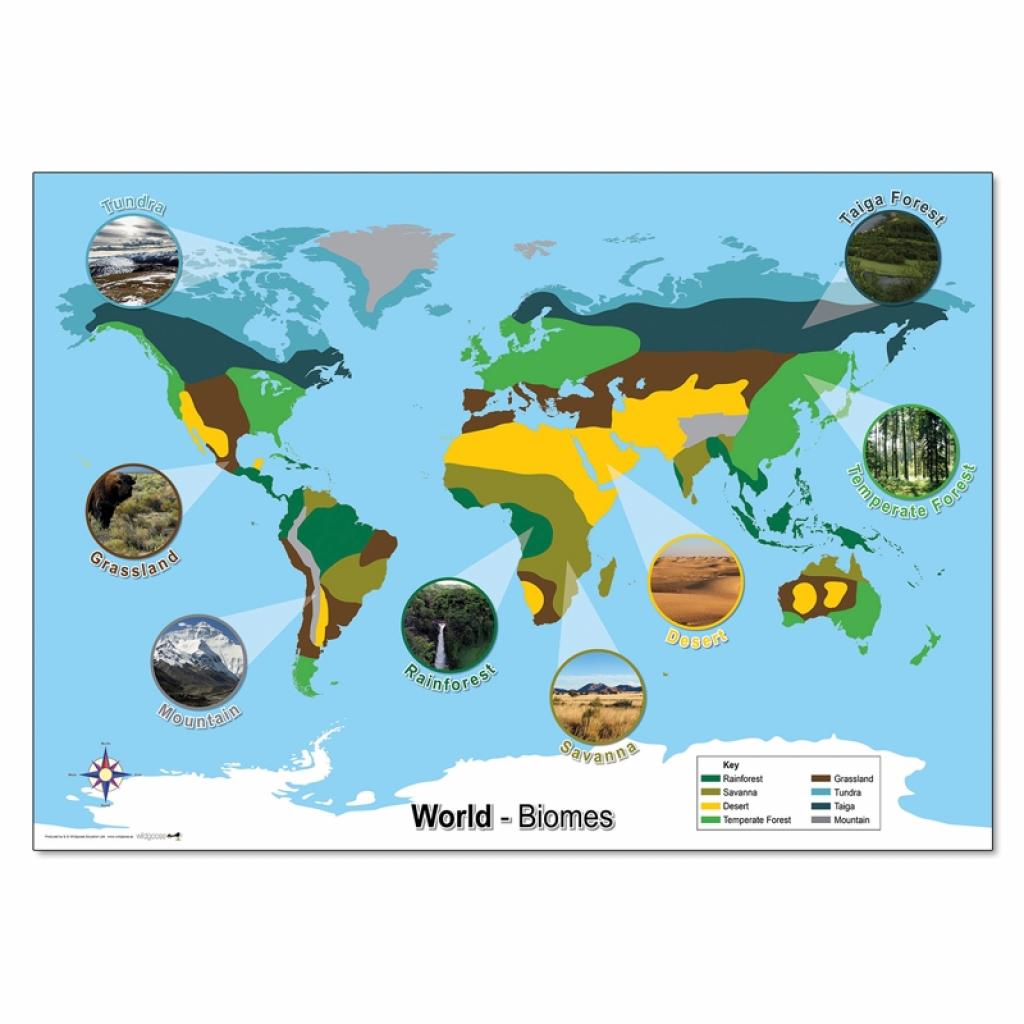 World Physical Map - Laminated | Wildgoose Education