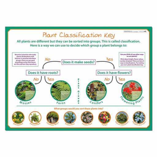 Classifying Plants poster