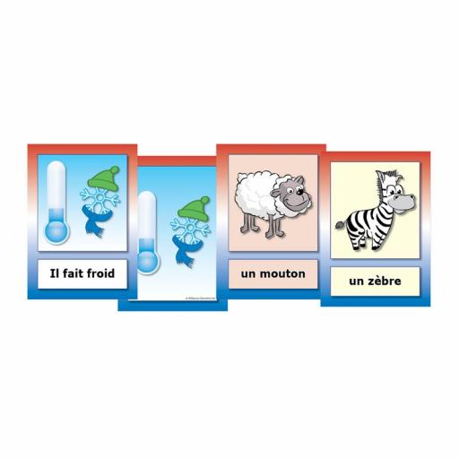 French Weather & Animals Flashcards