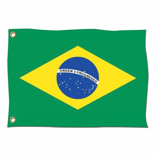 Brazil Flag