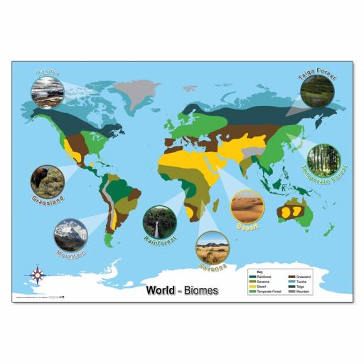 World Biomes Map