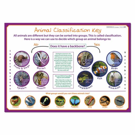 Classifying Animals poster