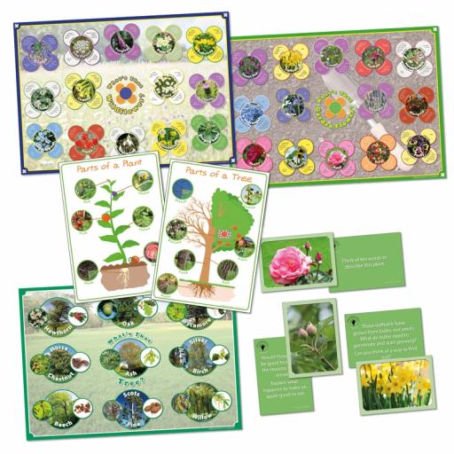 Discovering Science - Plants Bundle