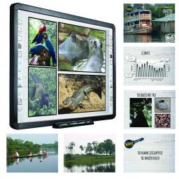 Key to... Amazon Basin Web Image3.jpg