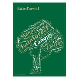 A3 Rainforest Word Cloud imagergb.jpg