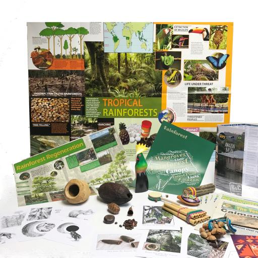 Rainforest Artefacts Collection