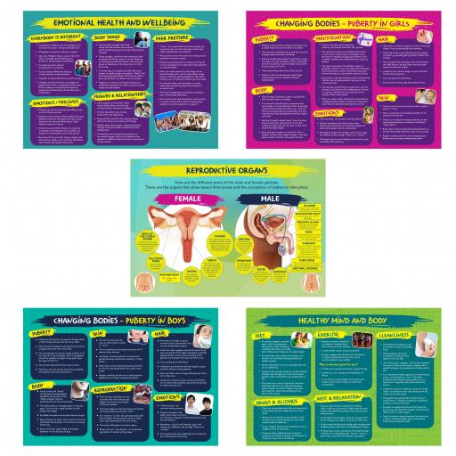 Physical and Emotional Wellbeing Poster Set