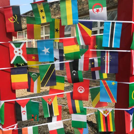 African Nations Bunting