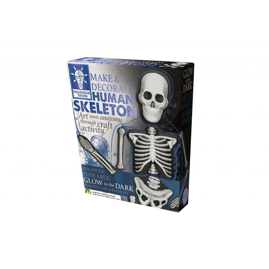 Make & Decorate Set - Human Skeleton | Wildgoose Education