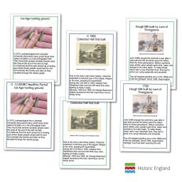 History Cards Cat Image2.jpg