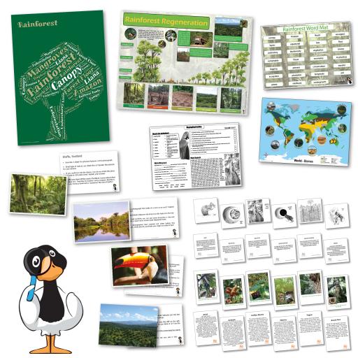 Rainforest Curriculum Pack