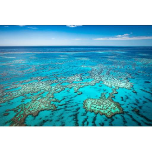 Australia Uncovered: A Land of Extreme Weather, Diverse Biomes, and Incredible Wildlife  