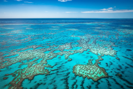 Australia Uncovered: A Land of Extreme Weather, Diverse Biomes, and Incredible Wildlife  